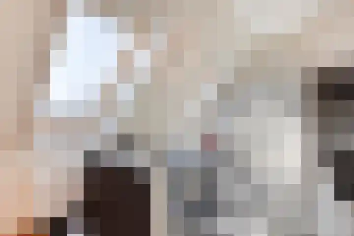 't Lindeke 14 Halsteren thumbnail 24