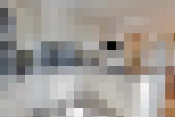't Lindeke 14 Halsteren thumbnail 25