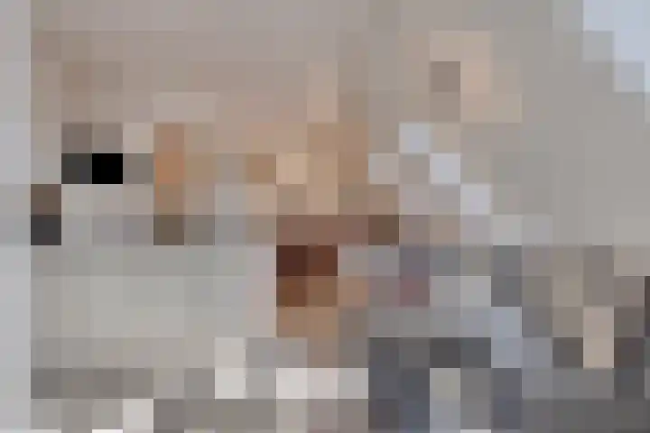 't Lindeke 14 Halsteren thumbnail 27
