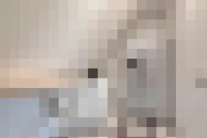 't Lindeke 14 Halsteren thumbnail 28