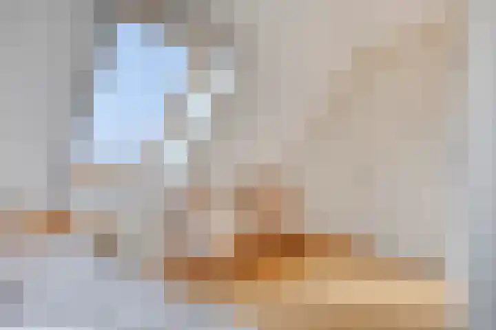 't Lindeke 14 Halsteren thumbnail 31