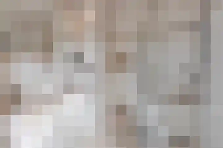 't Lindeke 14 Halsteren thumbnail 33