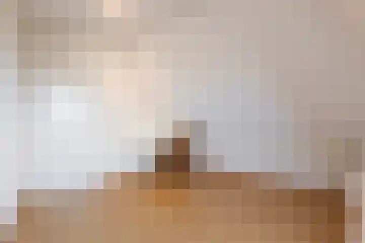 't Lindeke 14 Halsteren thumbnail 38