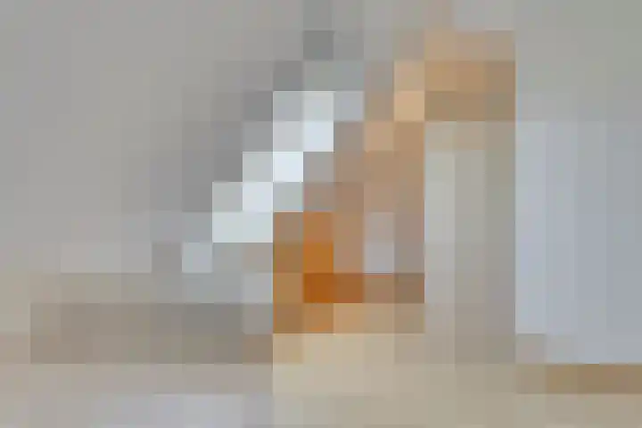 't Lindeke 14 Halsteren thumbnail 39