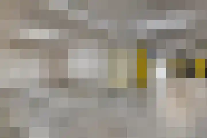 't Lindeke 14 Halsteren thumbnail 47