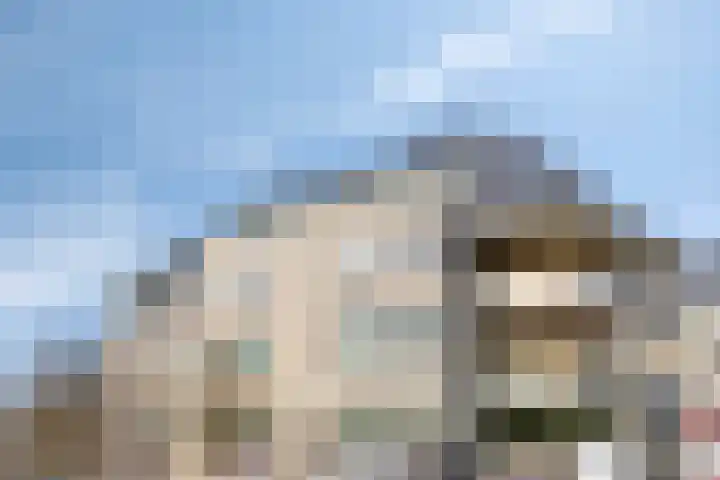 't Lindeke 14 Halsteren thumbnail 49