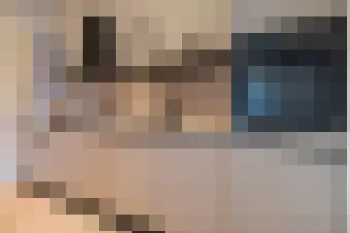 't Marken 2 Edam thumbnail 10