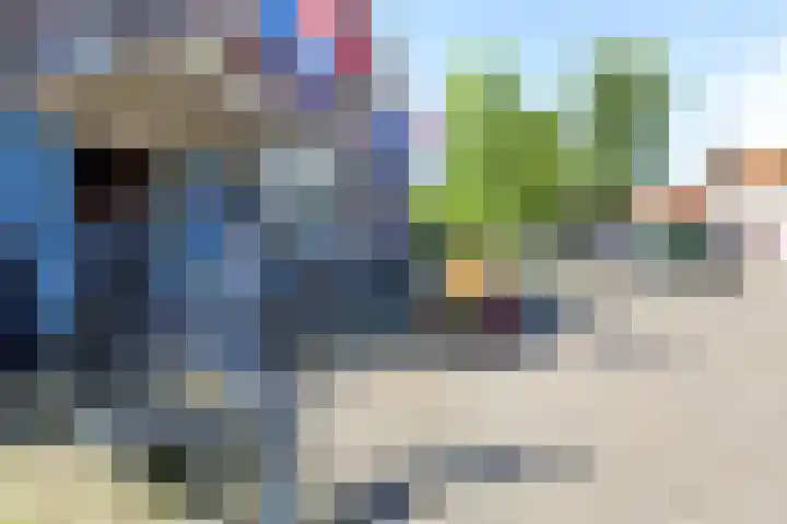 't Marken 2 Edam thumbnail 25