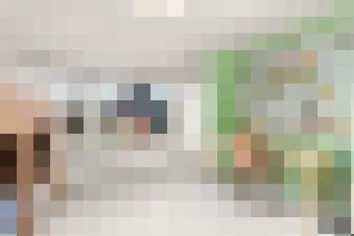 't Markvelt 7 Abcoude thumbnail 24