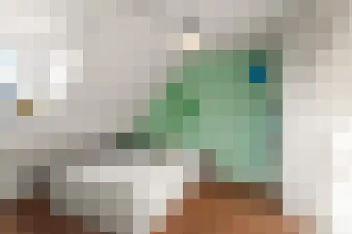 't Markvelt 7 Abcoude thumbnail 31