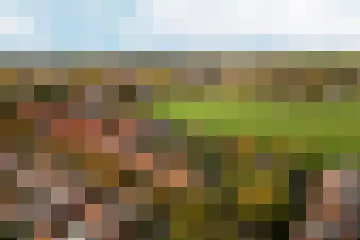 't Markvelt 7 Abcoude thumbnail 43