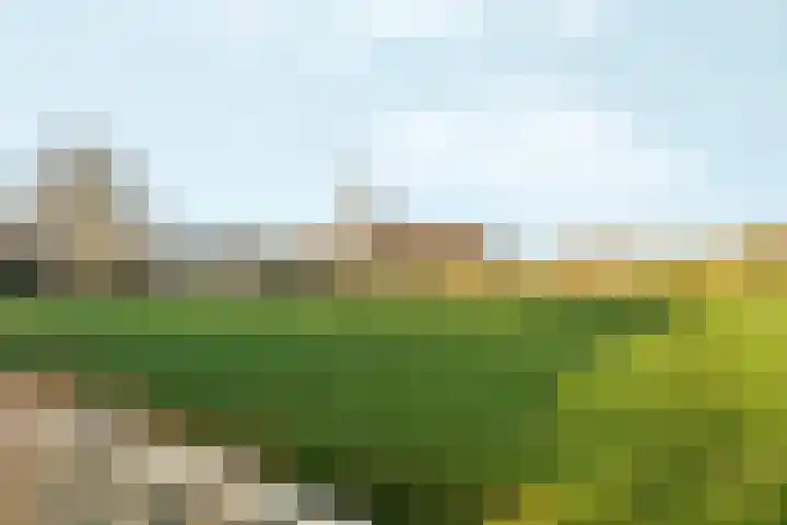 't Markvelt 7 Abcoude thumbnail 45