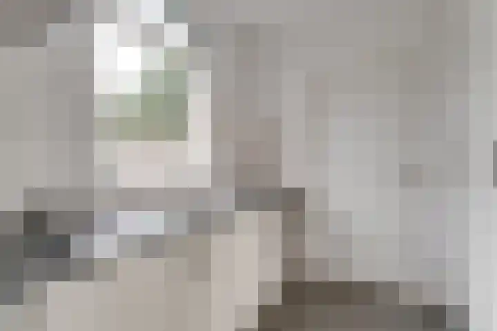 't Melkpad 7 Lathum thumbnail 12