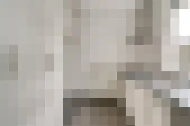 't Melkpad 7 Lathum thumbnail 13