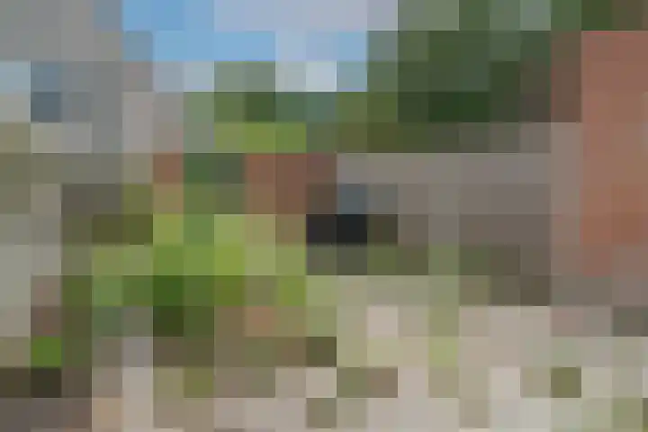't Melkpad 7 Lathum thumbnail 19