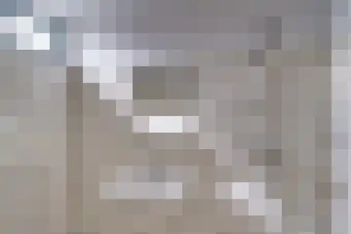 't Melkpad 7 Lathum thumbnail 27