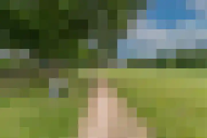 't Melkpad 7 Lathum thumbnail 34