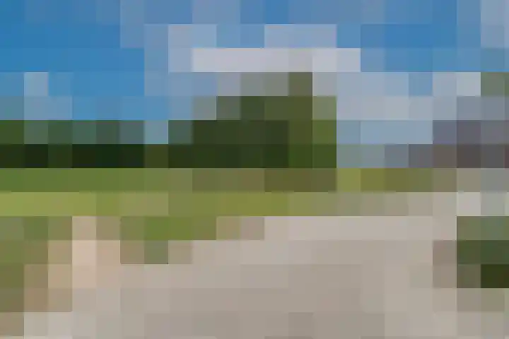 't Melkpad 7 Lathum thumbnail 5
