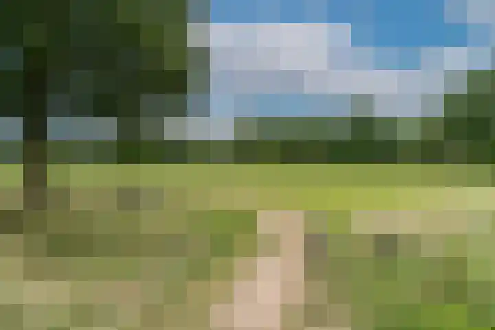 't Melkpad 7 Lathum thumbnail 6