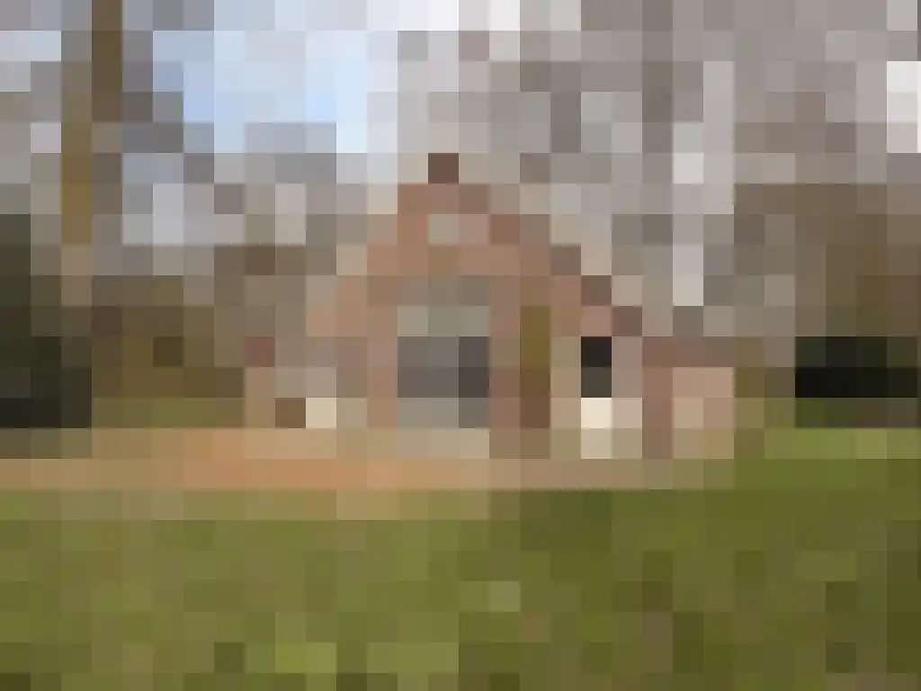 't Nijenhuis in Wijhe