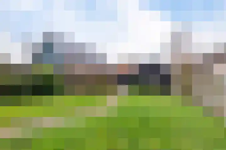 't Noard 64 Warns thumbnail 31