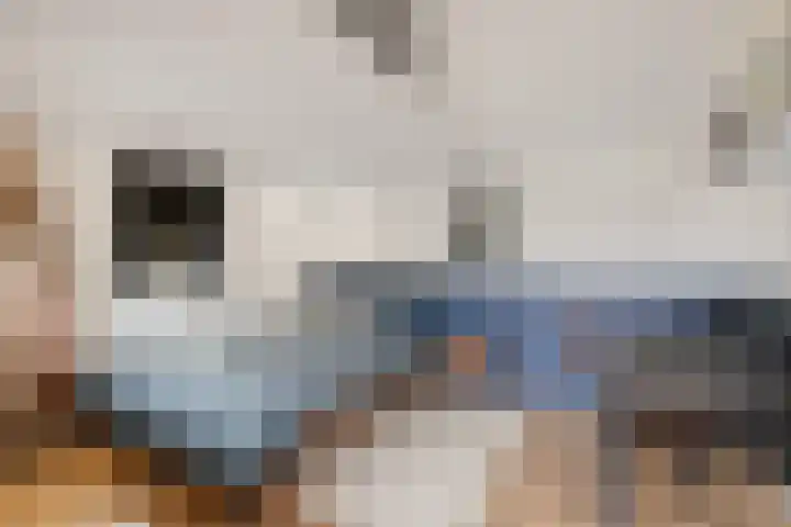't Noard 64 Warns thumbnail 36