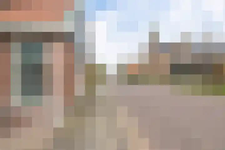 't Noard 64 Warns thumbnail 42