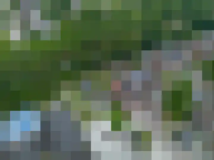 't Oelbred 6 Tolbert thumbnail 11