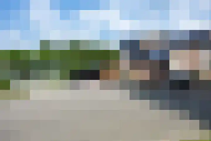 't Oelbred 6 Tolbert thumbnail 14