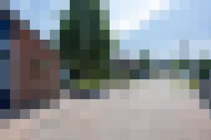 't Oelbred 6 Tolbert thumbnail 22