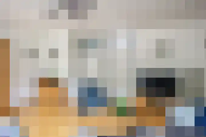 't Oelbred 6 Tolbert thumbnail 31