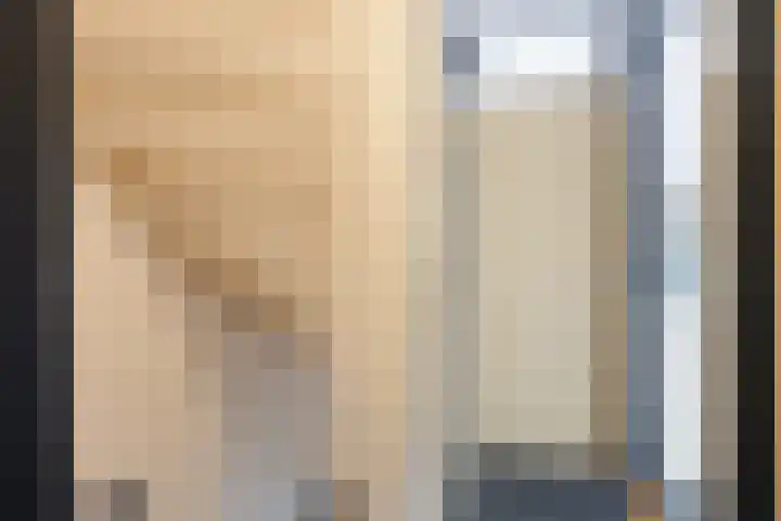 't Oelbred 6 Tolbert thumbnail 38