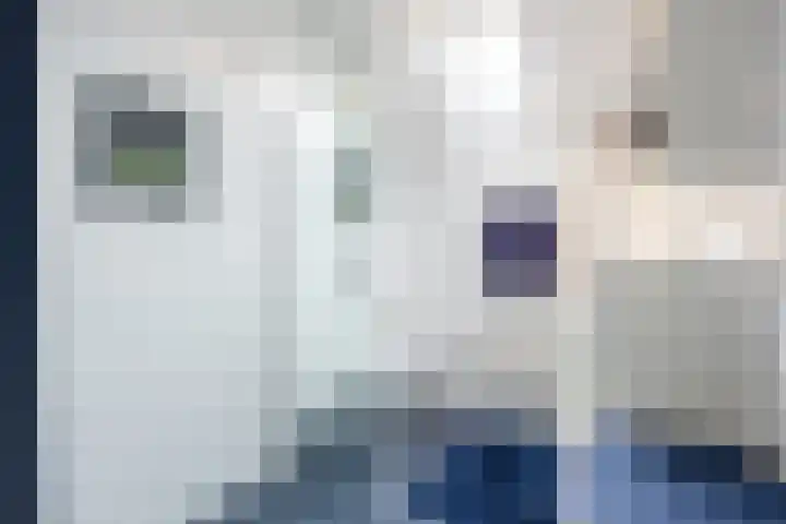 't Oelbred 6 Tolbert thumbnail 4