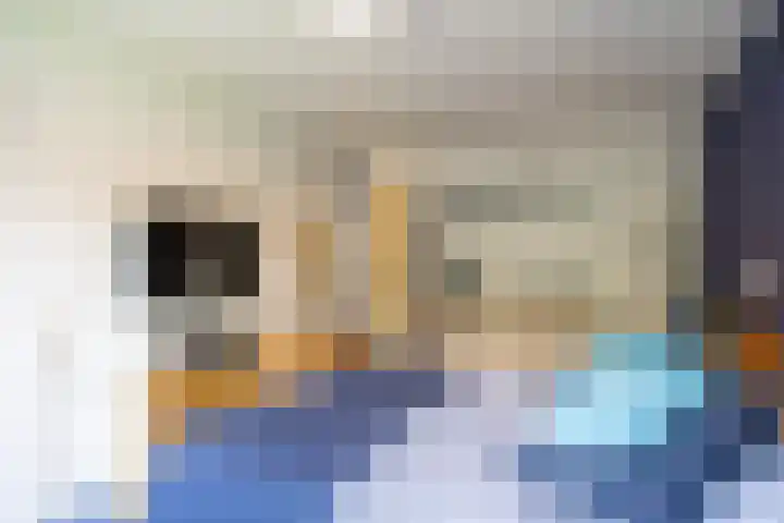 't Oelbred 6 Tolbert thumbnail 40