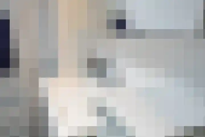 't Oelbred 6 Tolbert thumbnail 47