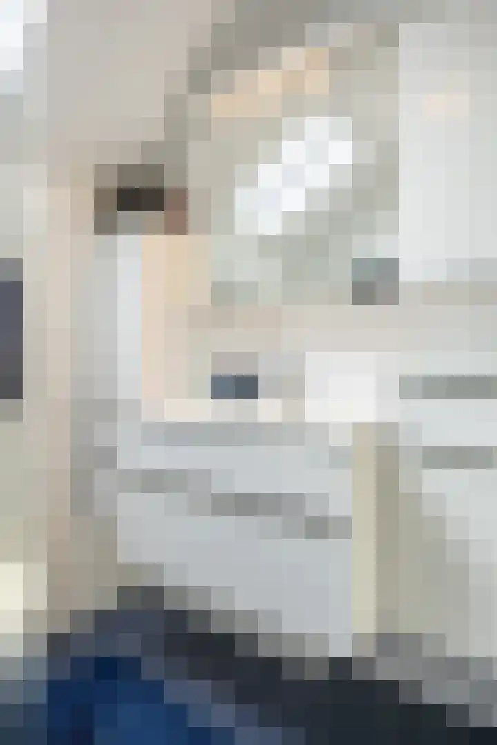 't Oelbred 6 Tolbert thumbnail 49