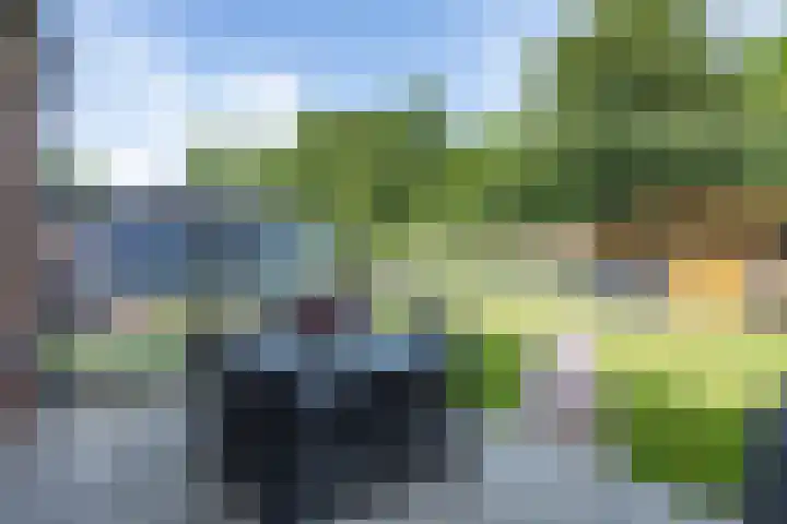 't Oelbred 6 Tolbert thumbnail 56