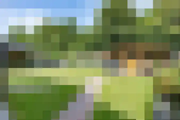 't Oelbred 6 Tolbert thumbnail 58
