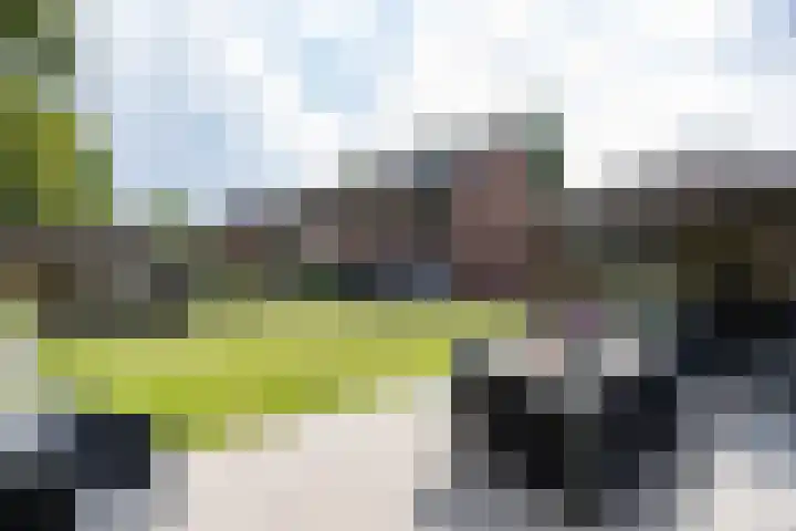 't Oelbred 6 Tolbert thumbnail 64