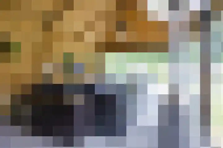 't Oelbred 6 Tolbert thumbnail 68