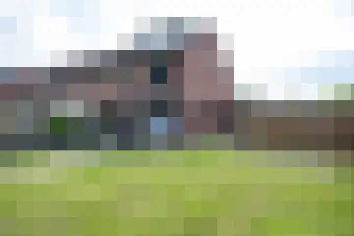 't Oelbred 6 Tolbert thumbnail 70