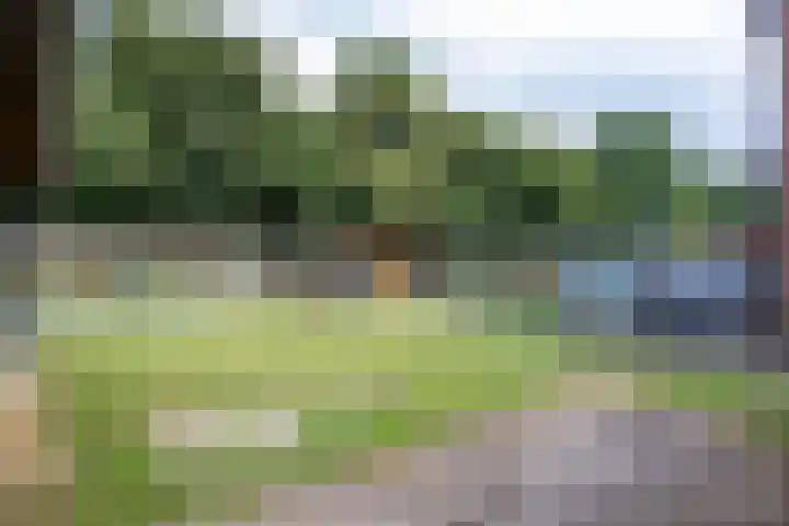 't Oelbred 6 Tolbert thumbnail 73
