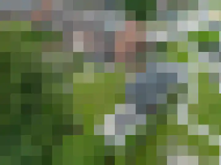 't Oelbred 6 Tolbert thumbnail 75