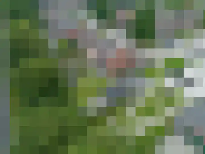 't Oelbred 6 Tolbert thumbnail 77