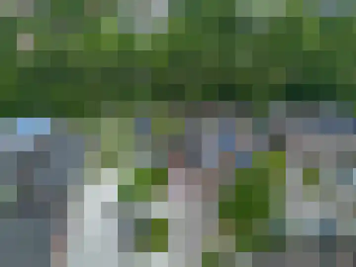 't Oelbred 6 Tolbert thumbnail 8