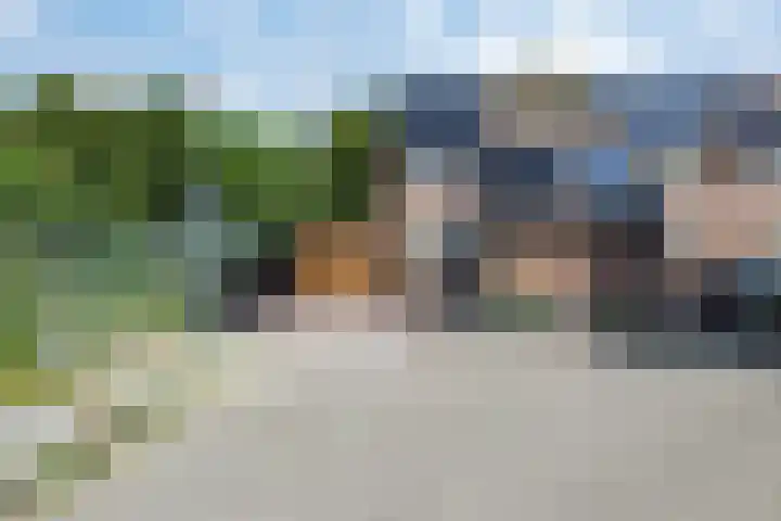 't Oelbred 6 Tolbert thumbnail 88