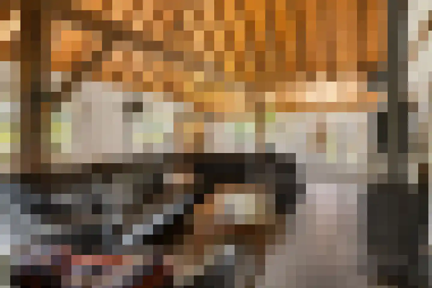 't Pad 13 Niebert thumbnail 13