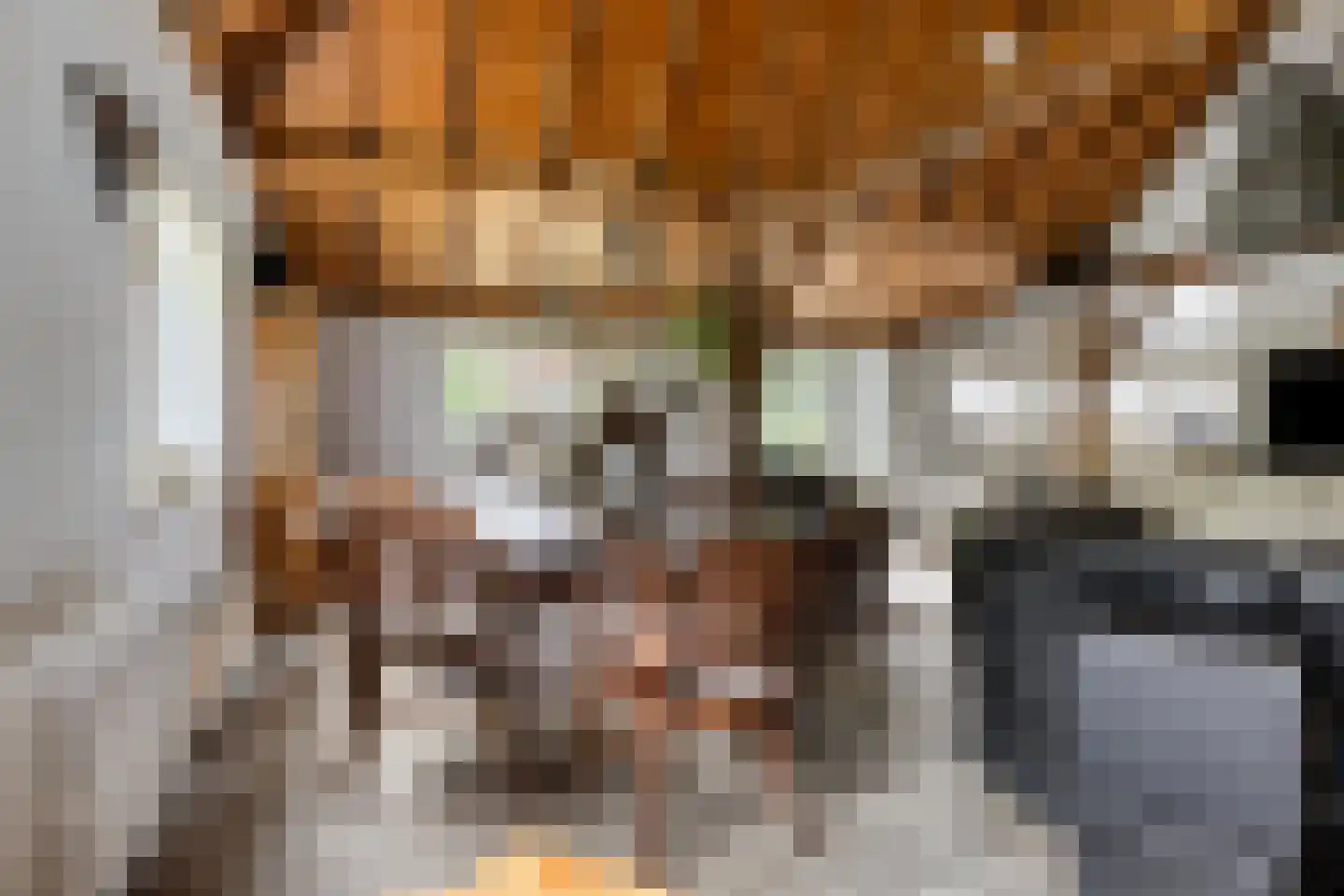 't Pad 13 Niebert thumbnail 16