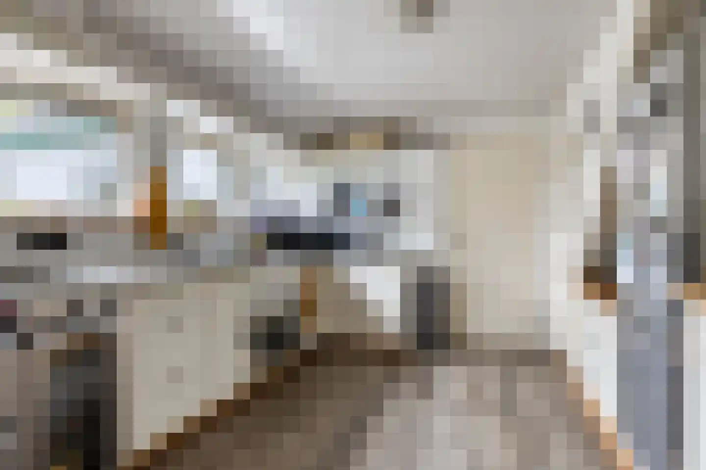't Pad 13 Niebert thumbnail 20