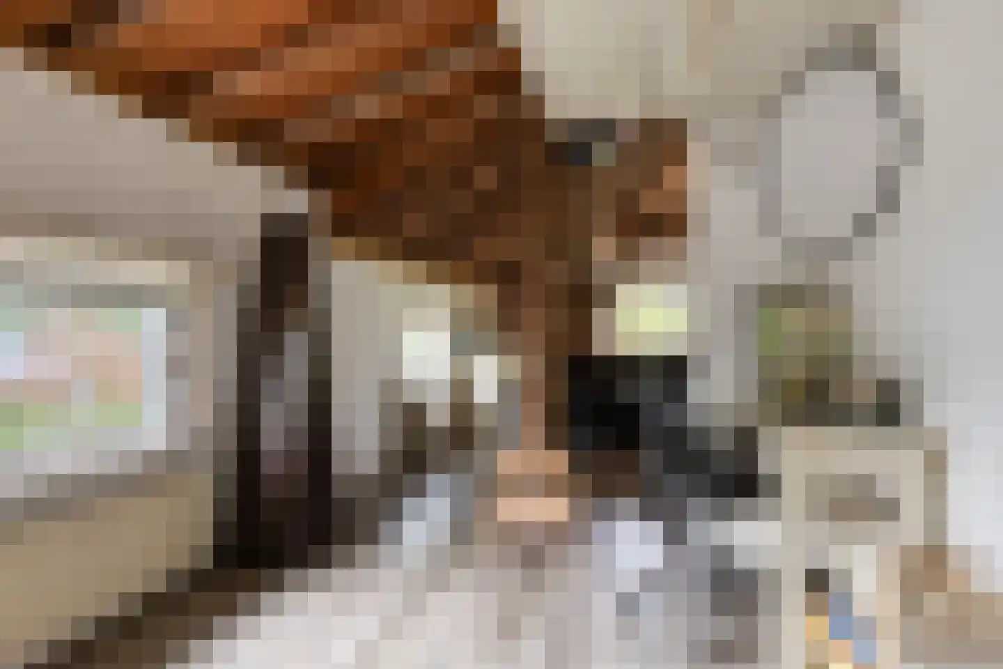 't Pad 13 Niebert thumbnail 24